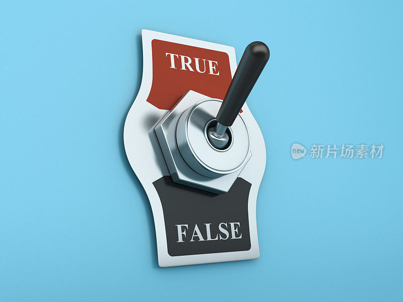 TRUE FALSE开关